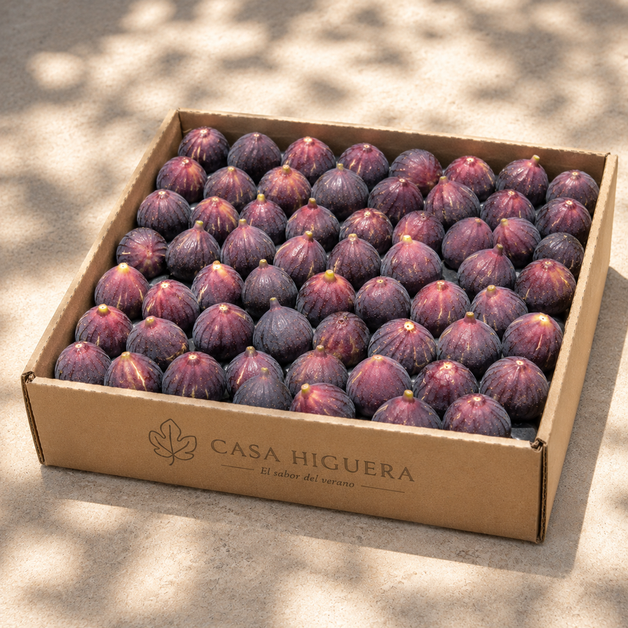 Caja Tradición 4kg