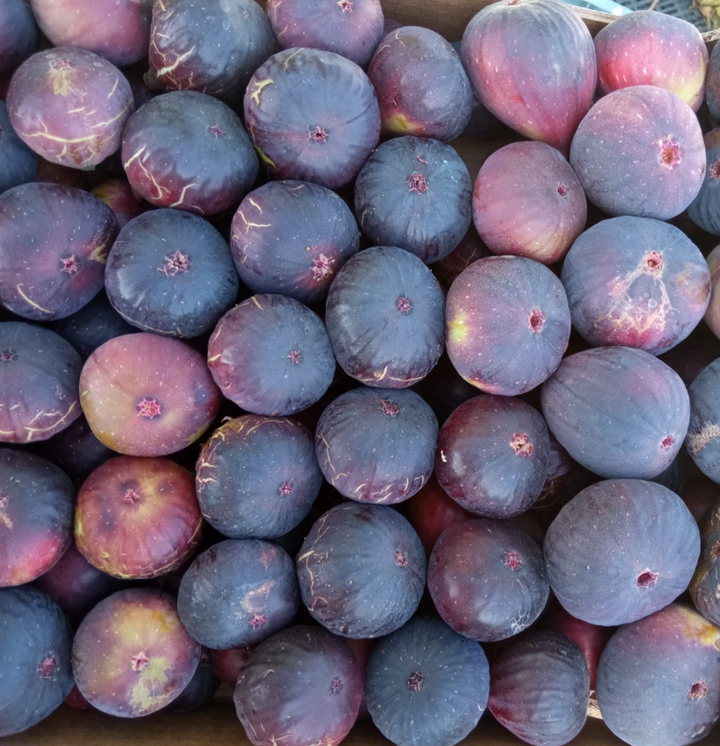 Una variedad única en España
